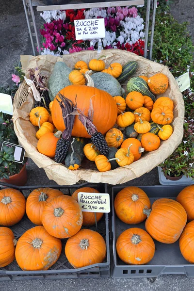 Citrouilles Gourdes Pour Halloween Décoration Naturelle — Photo