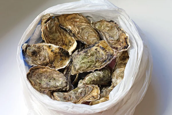 Stelletje Verse Rauwe Oesters Zak — Stockfoto