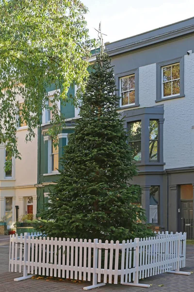 Grande Bellissimo Albero Natale Fronte Alla Casa Londra — Foto Stock