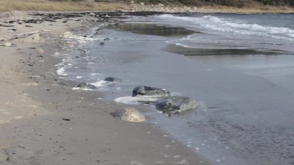 Sandstrand Vid Nordsjön — Stockvideo