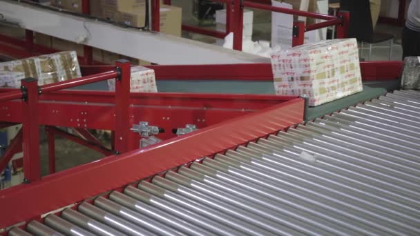 Sorting Boxes Packages Conveyor Distribution Warehouse — Stock Video