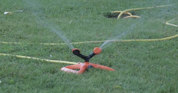 Vatten Sprinkler Roterande Gräs Trädgården — Stockvideo