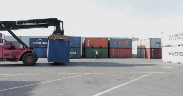 Dobanovci Servië Maart 2017 Cargo Reach Stacker Shipping Container Depot — Stockvideo
