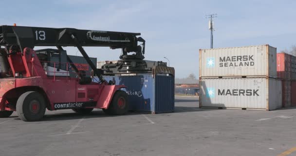 Dobanovci Servië Maart 2017 Reach Stacker Cargo Containers Depot Scheepvaart — Stockvideo