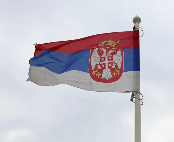 Serbian Flag Flying at Pole Wind