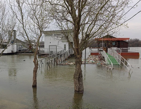 River Danube Kötü Hava Büyük Seller — Stok fotoğraf
