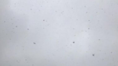 Kar Blizzard kış hava durumu soyut