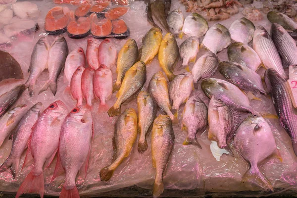 Fresh Fish at Market in Hong Kong