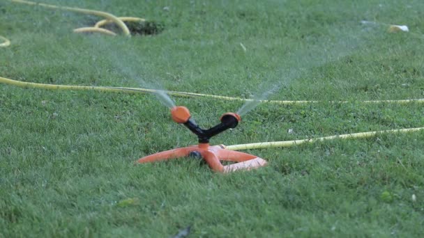 緑の芝生の草の水スプリンクラーを回転 — ストック動画