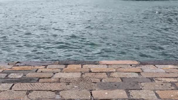 Πέτρινη Αποβάθρα Pier Στην Θάλασσα Της Λιγουρίας Της Ιταλίας — Αρχείο Βίντεο