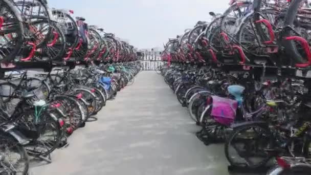 Walking Bicycle Parking Storage Amsterdam — Stock Video