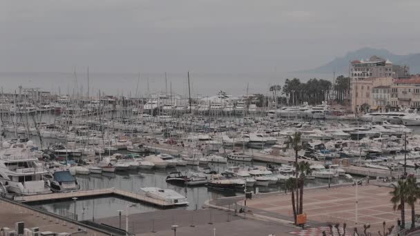 Zeilboten Luxe Jachten Cannes Marina Frankrijk — Stockvideo