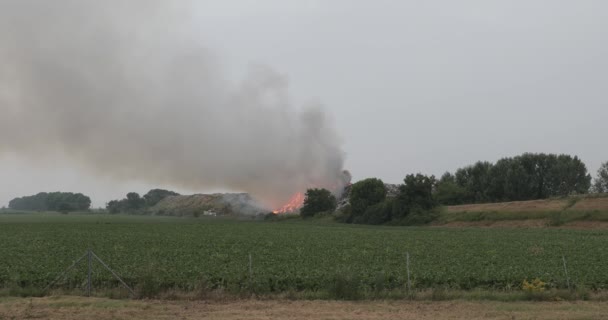 Vuilnis Dump Vuur Rook Luchtverontreiniging Stortplaats — Stockvideo