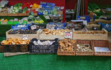 Yenilebilir mantar çiftçilere piyasa ahır, çeşitli