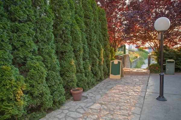 Garden Path — Stock Photo, Image