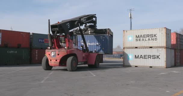 Dobanovci Servië Maart 2017 Cargo Reach Stacker Vorkheftruck Shipping Container — Stockvideo