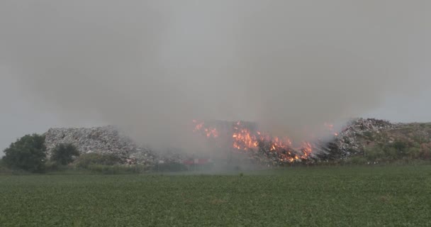 Belgrad Serbia Czerwca 2018 Strażacy Wysypiskach Ogień Ciężkich Zanieczyszczeń Dymu — Wideo stockowe