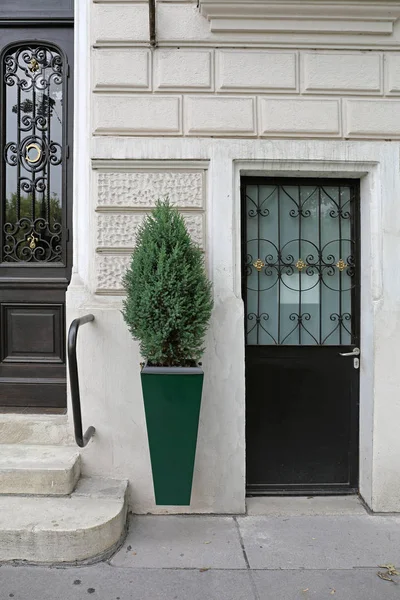 Door Plant Pot — Stock Photo, Image