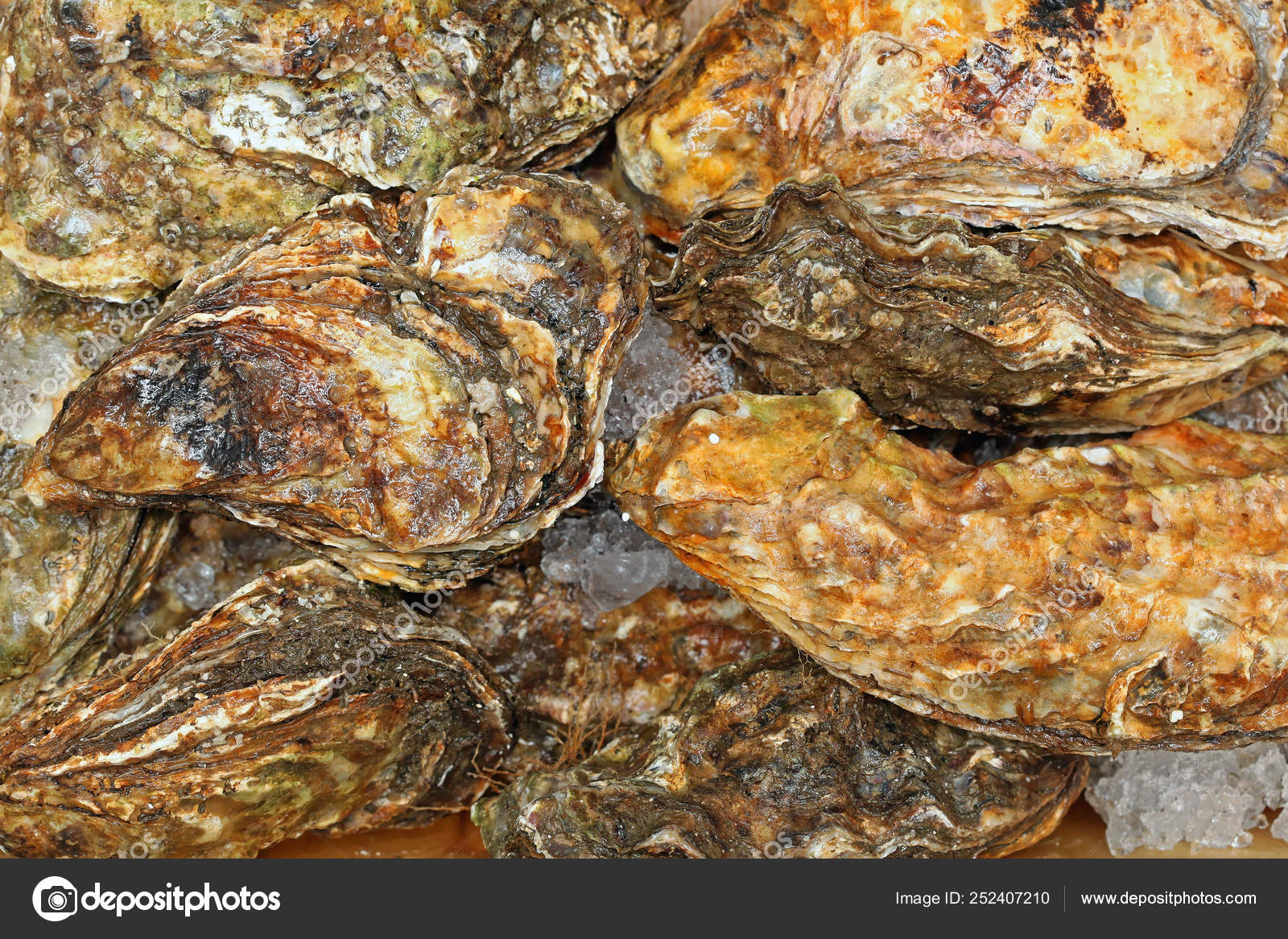 Rock Oysters Stock Photo by ©Baloncici 252407210