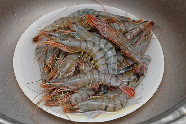 Shrimps Tiger — Stock Photo, Image