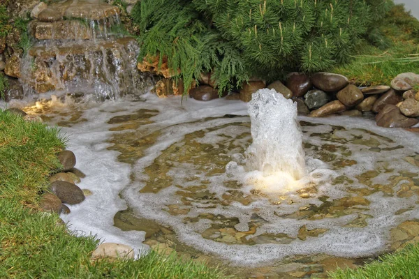 Lagoa de jardim — Fotografia de Stock