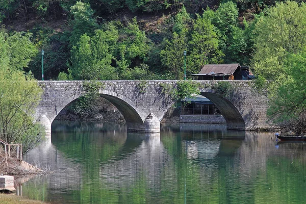 里耶卡 crnojevica 桥 — 图库照片