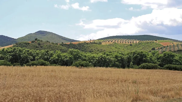 Yunanistan Manzarası — Stok fotoğraf