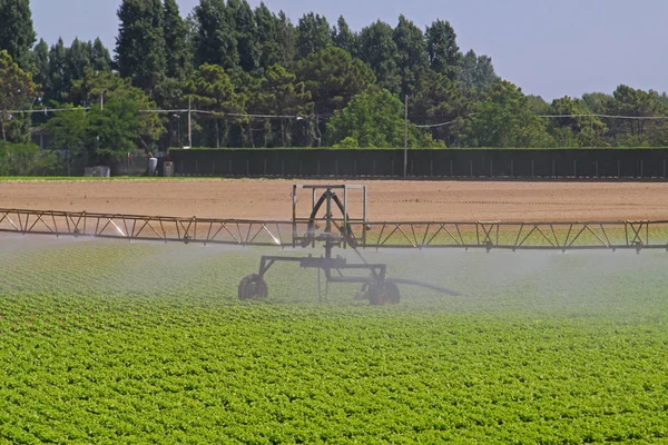 Water Irrigation — Stock Fotó