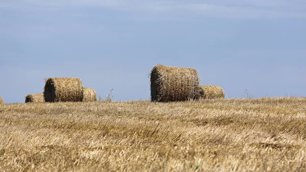 Hooibalen — Stockfoto