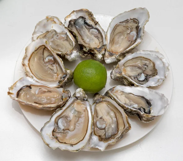 Oysters at Plate — Stock Photo, Image