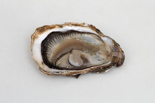 Open Oyster — Stock Photo, Image