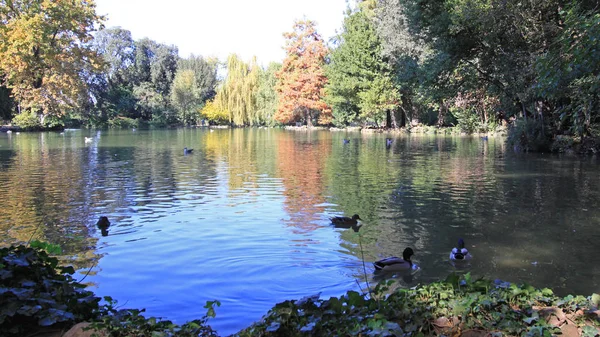 Pond Lake Rome — Stock Photo, Image