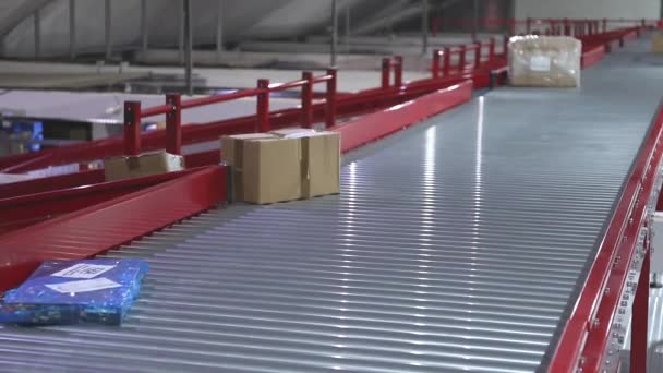 Packages Conveyor Belt Distribution Warehouse — Stock Video