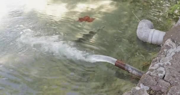 Καθαρή Ροή Νερού Από Σωλήνα Fish Λιμνούλα — Αρχείο Βίντεο