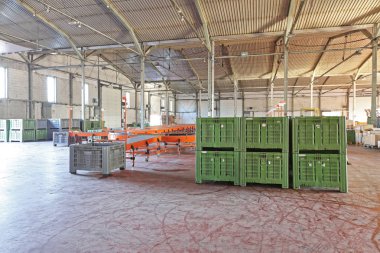 Plastik Kasa paletleri