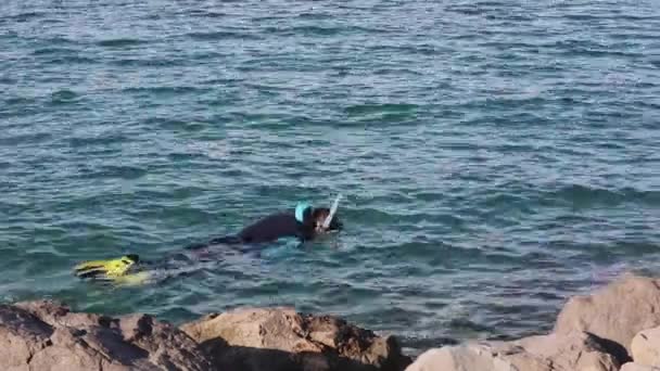 Snorkel Con Traje Neopreno Largo Costa Del Mar Adriático Italia — Vídeo de stock