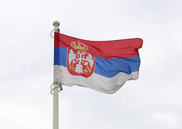 Serbiska flaggan vinden — Stockfoto