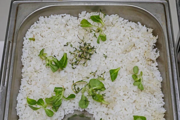 Arroz blanco —  Fotos de Stock