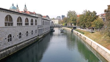Ljubljanica Nehri'nin