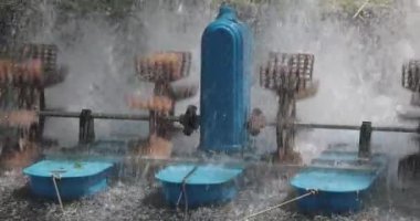 Kültür Balıkçılığı Tarım Havuzukürek Tekerlekler Su Aerators