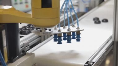 Konveyör Bantta Emme Kabı Vakumlu Robot Kol