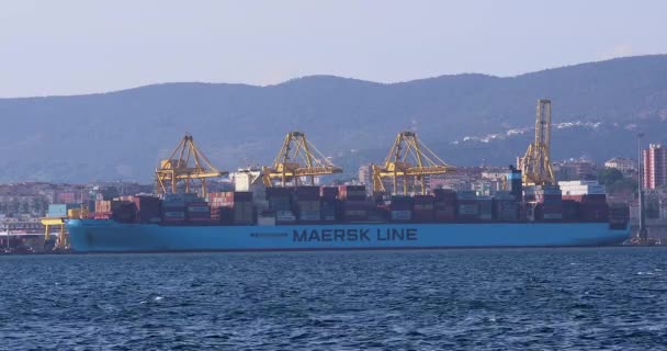 トリエステ イタリア 2019年6月17日 トリエステ イタリアの港でマースクラインコンテナ船を積み込む — ストック動画