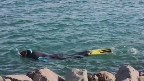 Κολύμβηση Αναπνευστήρα Υγρή Στολή Κατά Μήκος Της Ακτής Αδριατικής Θαλάσσης — Αρχείο Βίντεο