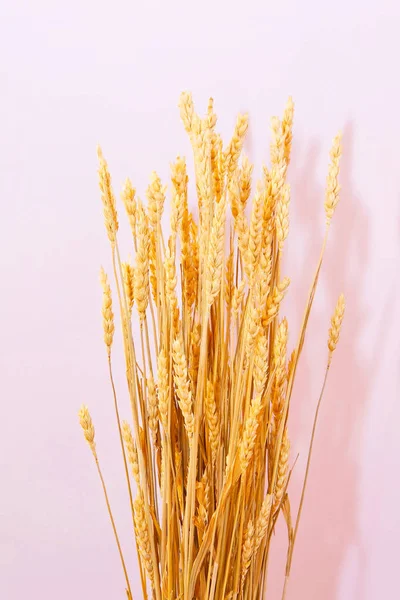 Wheat crop decor — Stock Photo, Image