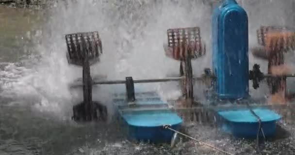 Αεριστές Ρόδες Νερού Στη Λιμνούλα Ιχθυοκαλλιέργειας — Αρχείο Βίντεο