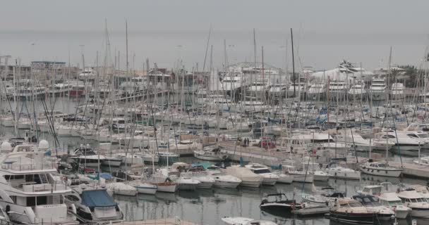 Segelboote Und Yachten Marina Cannes Frankreich — Stockvideo