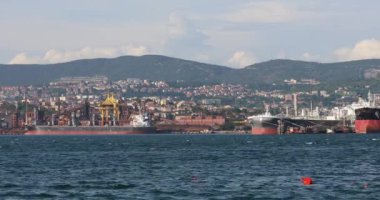 Adriyatik Denizi Yaz Günü Trieste Limanı