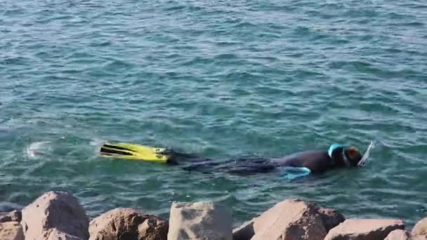Plongée Apnée Loisirs Long Côte Mer Adriatique Italie — Video