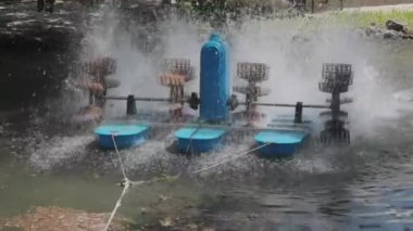 Su Ürünleri Çiftliği Nde Su Aerators Paddle Tekerlekler