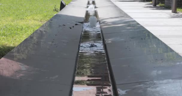 Corriente Larga Del Camino Del Agua Día Del Parque Ciudad — Vídeo de stock